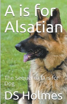 A is for Alsatian 1