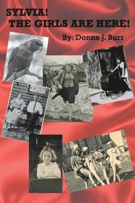 Donna J Burr, Donna J. Burr - Sylvia! The Girls are Here!, Häftad