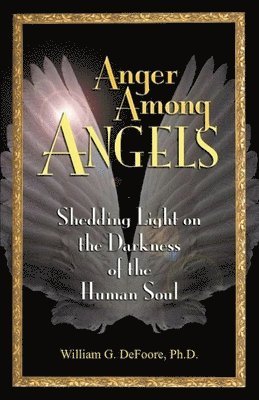 bokomslag Anger Among Angels