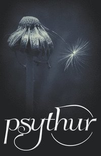 bokomslag Psythur