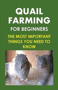 bokomslag Quail Farming For Beginners