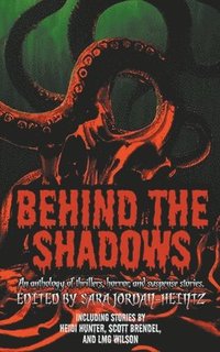 bokomslag Behind the Shadows
