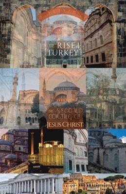 bokomslag Rise of Turkey