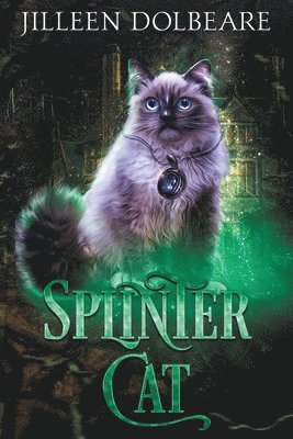 bokomslag Splintercat