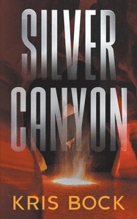 bokomslag Silver Canyon