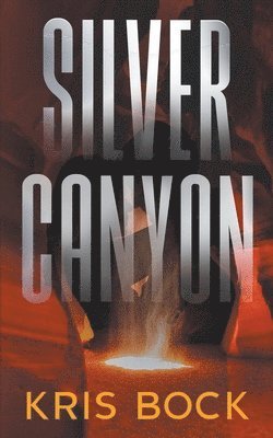 bokomslag Silver Canyon