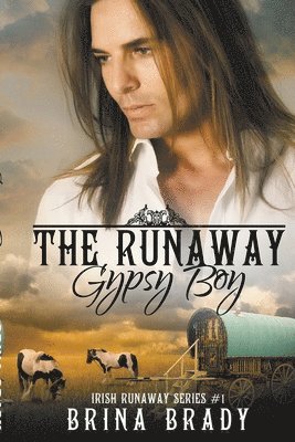 Brina Brady - Runaway Gypsy Boy, Häftad