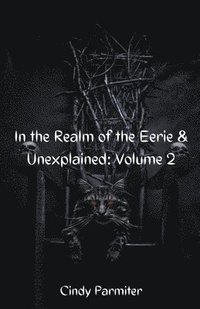 bokomslag In The Realm of the Eerie & Unexplained