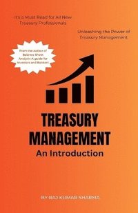 bokomslag Treasury Management An Introduction