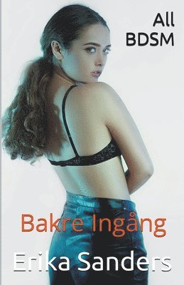 bokomslag All BDSM. Bakre Ingång