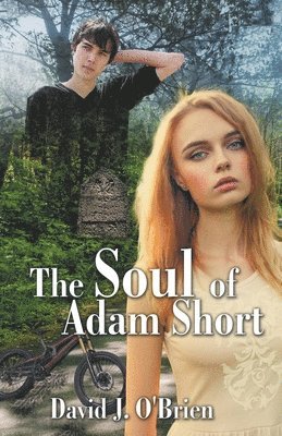 David J O'Brien - Soul of Adam Short, Häftad