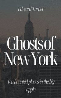 bokomslag Ghosts of New York