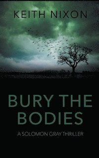 bokomslag Bury The Bodies