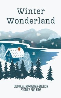 bokomslag Winter Wonderland: Bilingual Norwegian-English Short Stories for Kids