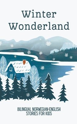 bokomslag Winter Wonderland: Bilingual Norwegian-English Short Stories for Kids