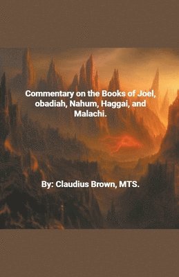 bokomslag Commentary on the Books of Joel, Obadia, Nahum, Haggai and Malachi,