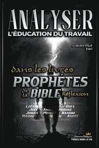 bokomslag Analyser L'ducation du Travail dans les Livres Prophtiques de la Bible