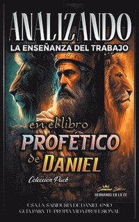 bokomslag Analizando la Enseanza del Trabajo en el Libro Proftico de Daniel