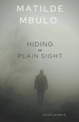 Hiding In Plain Sight