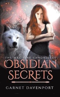 bokomslag Obsidian Secrets