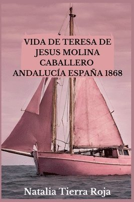 bokomslag Vida de Teresa de Jesus Molina Caballero