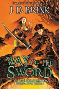 bokomslag Way of the Sword