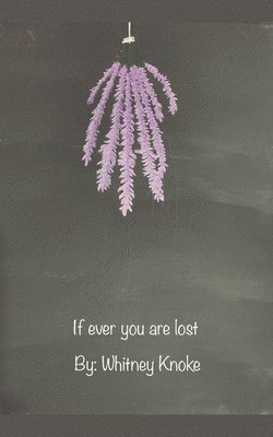 Whitney Knoke - If ever you are lost, Häftad