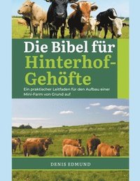 bokomslag Bibel für Hinterhof-Gehöfte