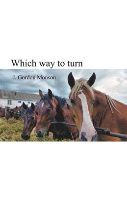 J Gordon Monson, J. Gordon Monson - Which Way to Turn, Häftad