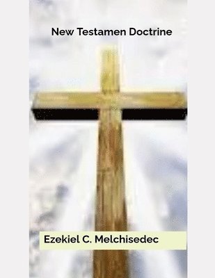 bokomslag New Testament Doctrine