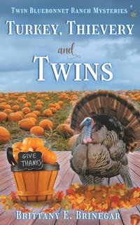 bokomslag Turkey, Thievery, and Twins