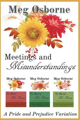 bokomslag Meetings and Misunderstandings