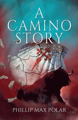 bokomslag Camino Story