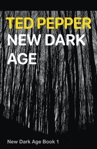 bokomslag New Dark Age