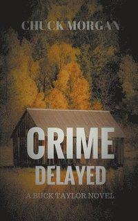 bokomslag Crime Delayed