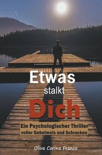 bokomslag Etwas stalkt Dich