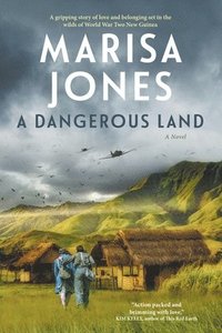 bokomslag Dangerous Land
