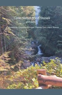 bokomslag Collection of Short Stories and More