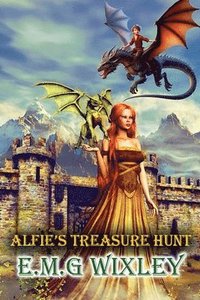 bokomslag Alfie's Treasure Hunt