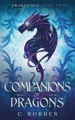 bokomslag Companions of Dragons