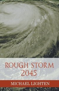 bokomslag Rough Storm 2045