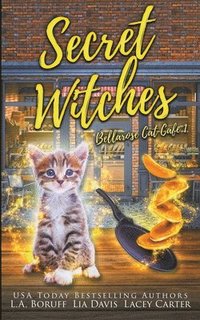 bokomslag Secret Witches