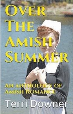 bokomslag Over The Amish Summer