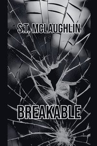 bokomslag Breakable