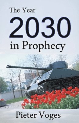 Pieter Voges - Year 2030 in Prophecy, Häftad
