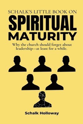 Schalk Holloway - Schalk's Little Book on Spiritual Maturity, Häftad