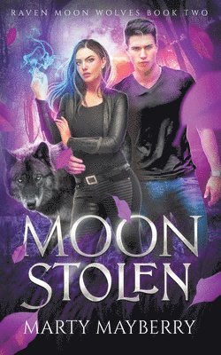 bokomslag Moon Stolen