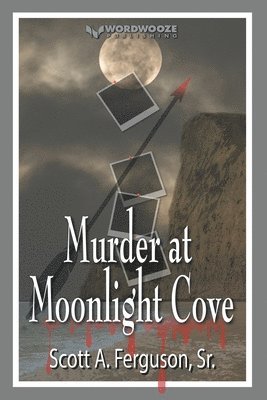 bokomslag Murder at Moonlight Cove