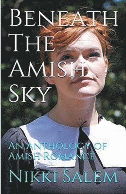 Beneath the Amish Sky 1