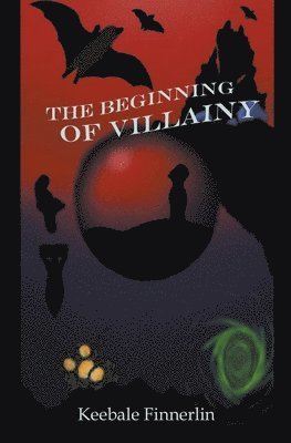 The Beginning of Villainy 1